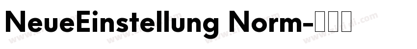 NeueEinstellung Norm字体转换
